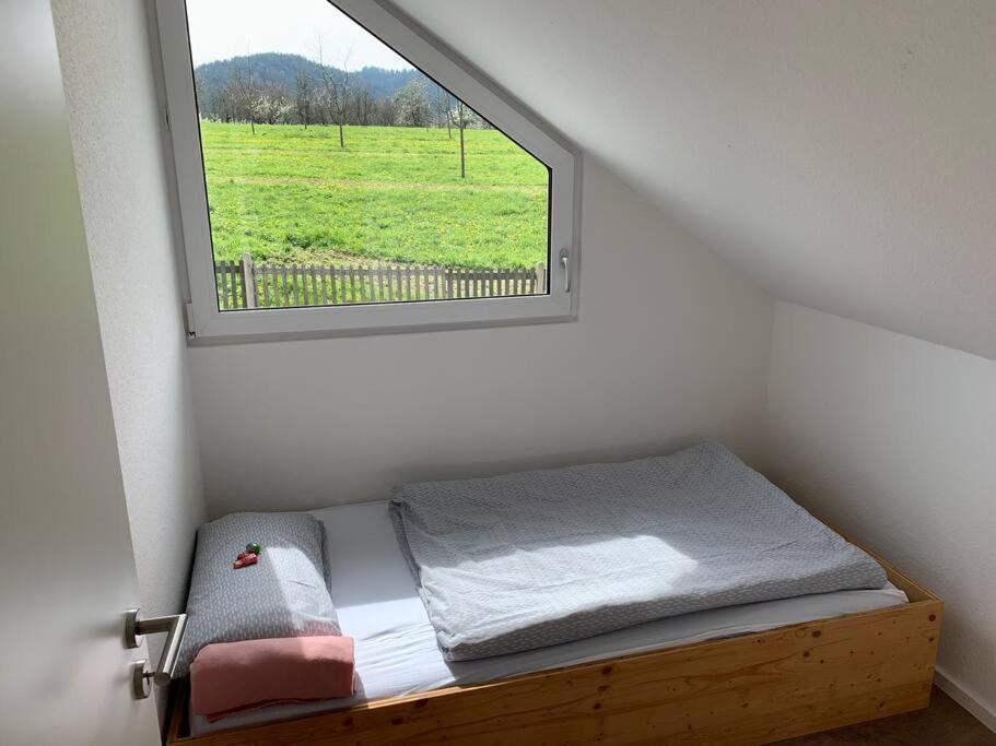 Wohnung Am Fusse Des Schwarzwalds أوبركيرش المظهر الخارجي الصورة