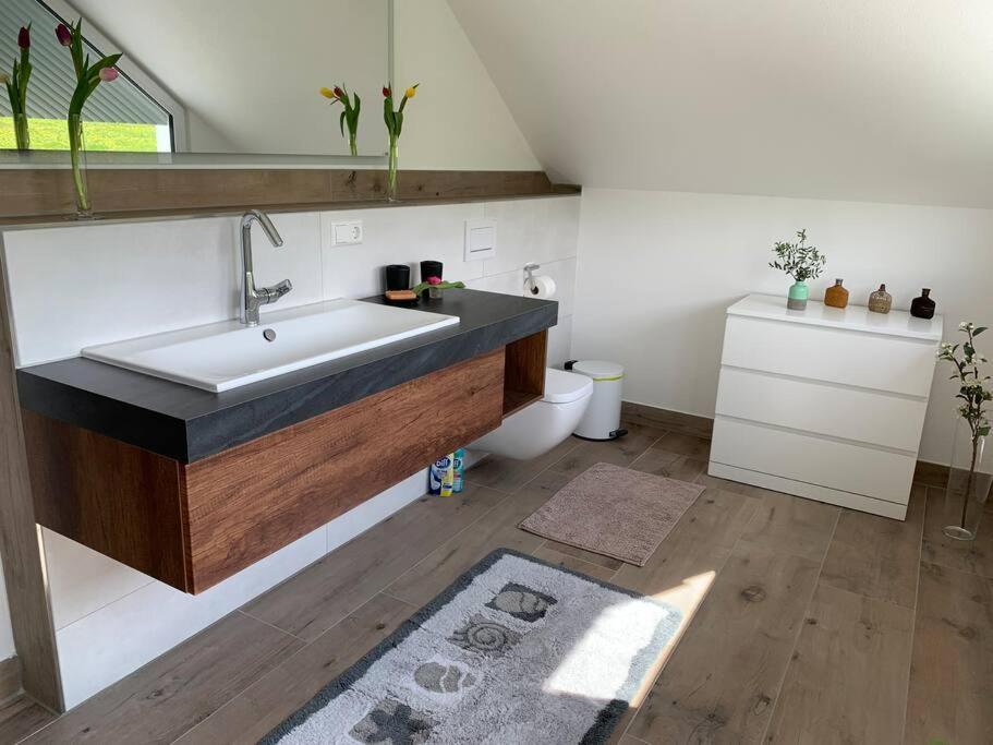 Wohnung Am Fusse Des Schwarzwalds أوبركيرش المظهر الخارجي الصورة