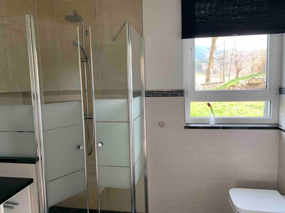 Wohnung Am Fusse Des Schwarzwalds أوبركيرش المظهر الخارجي الصورة